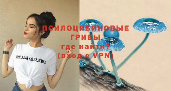 мет Богданович