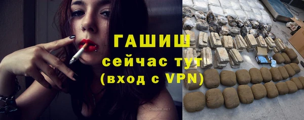 spice Богородск