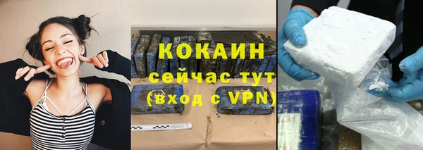 соль ск Богородицк