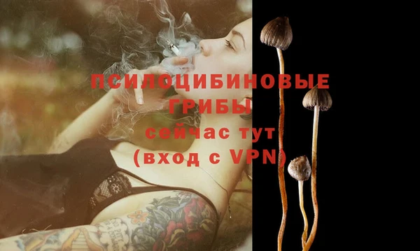 соль ск Богородицк