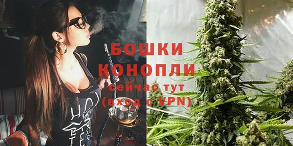 spice Богородск