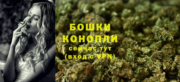 соль ск Богородицк