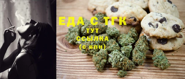 spice Богородск