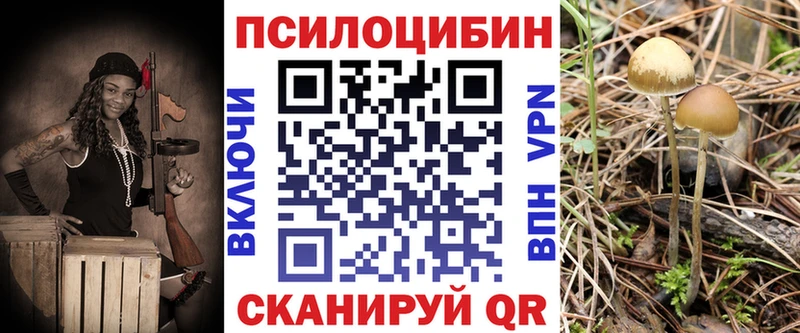 Купить закладки  Родники  Псилоцибиновые грибы мицелий 